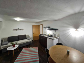 Apartment Slavija